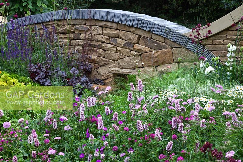 Slate and dry stone walls surround 'The Art of Yorkshire garden', sponsored by Welcome to Yorkshire - RHS Chelsea Flower Show 2011.  Planting includes Persicaria bistorta 'Superba', Geranium sanguineum, Armeria maritima, Achillea 'Moonpagode', Aquilegia vulgaris var. stellata 'Ruby Port', Briza media, Scabiosa, Lavandula angustifolia 'Melissa Lilac', Heuchera 'Obsidian', Salvia and Cirsium rivulare 'Atropurpureum'