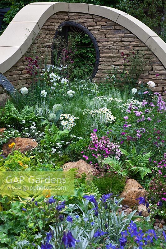 Slate and dry stone walls surround 'The Art of Yorkshire garden', sponsored by Welcome to Yorkshire - RHS Chelsea Flower Show 2011. Planting includes Stachys byzantina, Artemisia ludoviciana 'Silver Queen', Aquilegia alpina, Festuca glauca 'Elijah Blue', Geranium, Alchemilla mollis, Euphorbia polychroma, Hosta fortunei var. aureomarginata, Persicaria bistorta 'Superba', Geranium sanguineum, Armeria maritima, Achillea 'Moonpagode', Diascia, Leucanthemum vulgare, Allium 'Ivory Queen', Aquilegia vulgaris var. stellata 'Ruby Port', Briza media, Scabiosa, Rosa, grasses and ferns