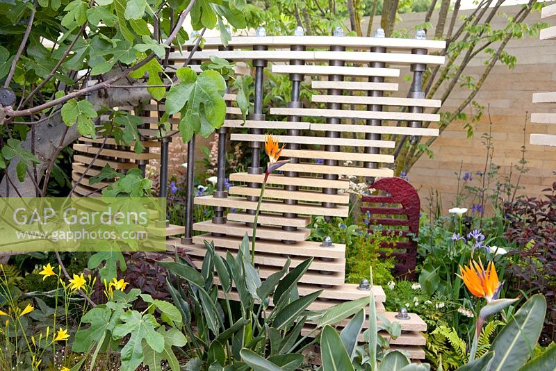 Wooden screen and tropical planting including Strelitzia  in 'The Bradstone Fusion Garden' - Silver Gilt Medal Winner, RHS Chelsea Flower Show 2011 
 