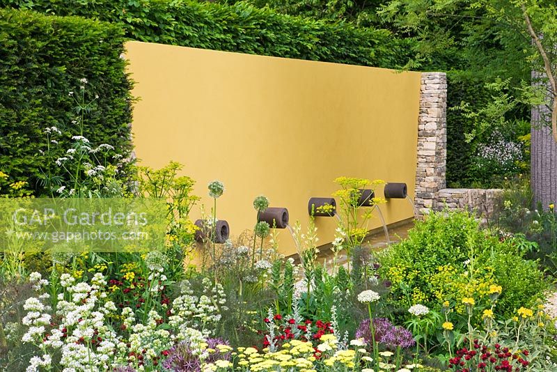 Colourful summer borders backed by Taxus - Yew hedging and yellow painted feature wall with water pipes. 'The Daily Telegraph Garden', Gold Medal Winner and Best in Show - RHS Chelsea Flower Show 2011 
