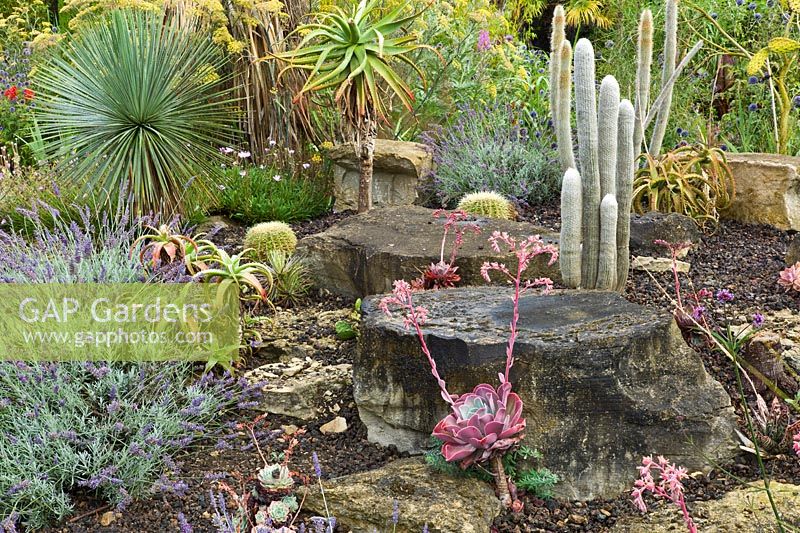 Sub-tropical plant displays and local Cotswold stone