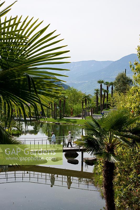 Lakes reflecting footbridges and plants seen at The Botanical gardens of Trauttmansdorff Castle in Merano, Italy. 