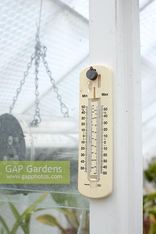 Thermometer in greenhouse 