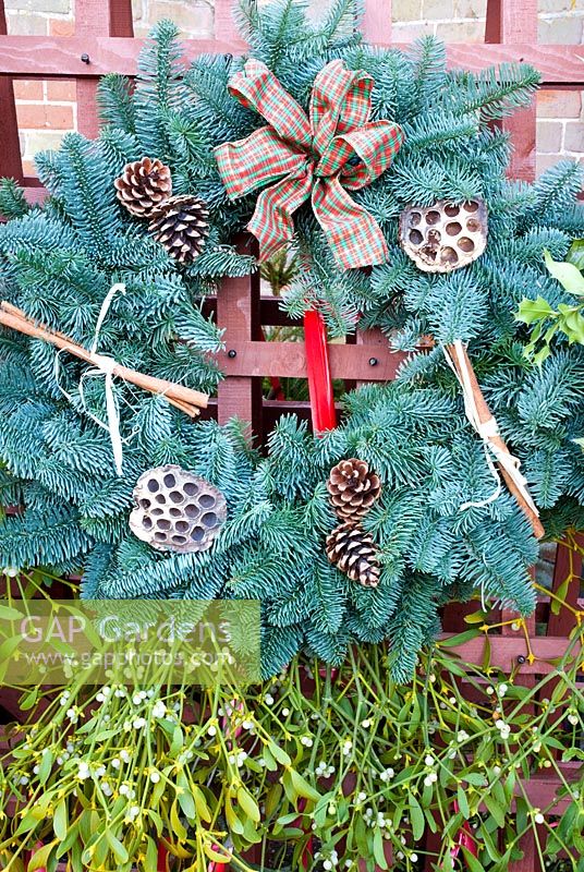Blue Spruce wreath and Christmas foliage for sale