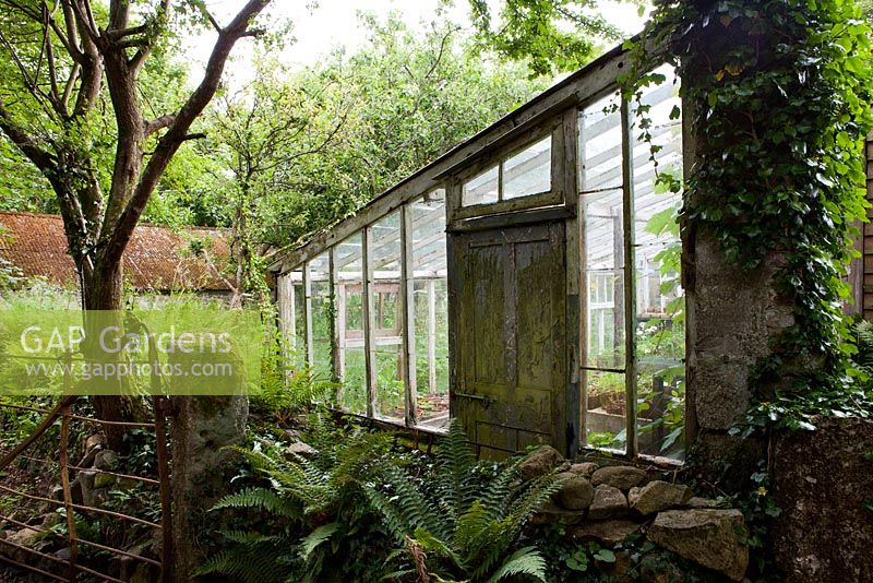 Old greenhouse in shady area of garden - Trevoole Farm, Cornwall