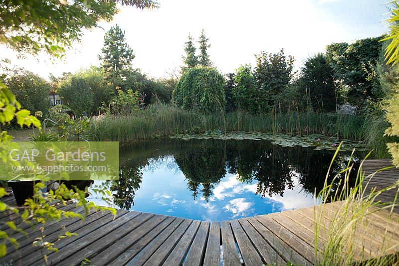 Pond with decking, Garden Hackl, Mistelbach Austria