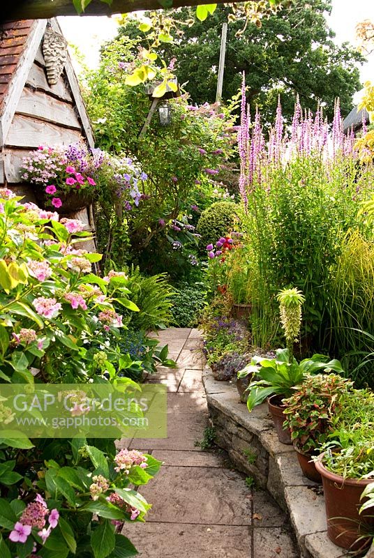 Curved path through cottage garden 