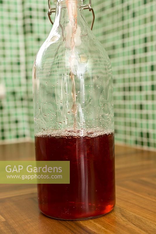 Making home-made Sloe Gin