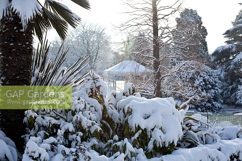 Birmingham Botanical Gardens and Glasshouses - Snow covered garden with pavillion 