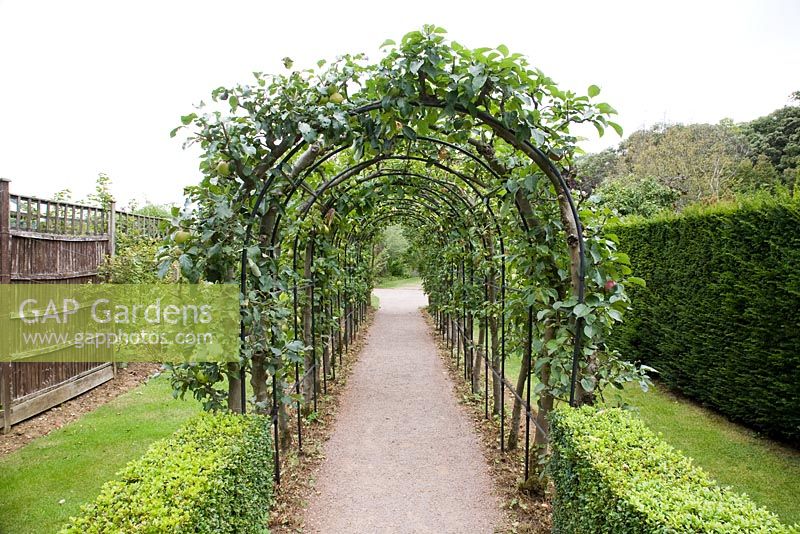Apple and Pear Tree Arch, Barnsdale Gardens