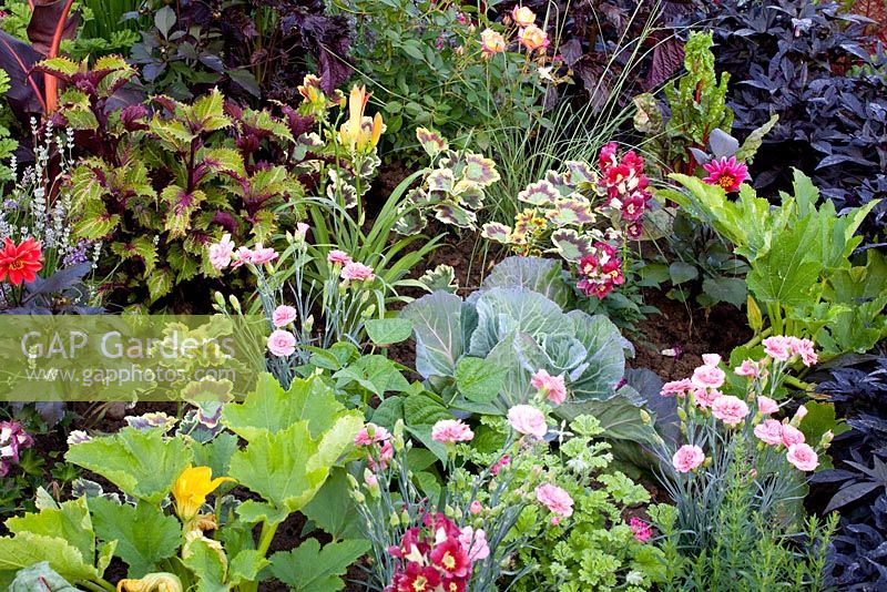 Mixed edible summer border with herbs and vegetables 