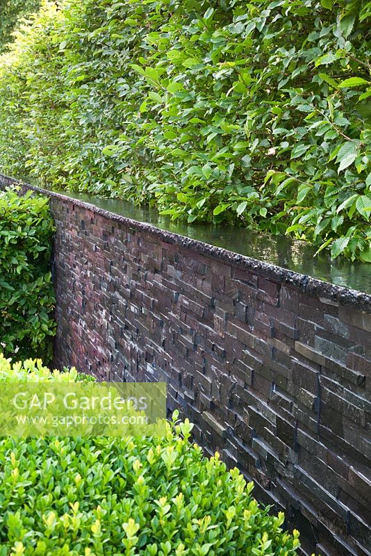 A wet slate stone wall with Carpinus hedge and Buxus ball