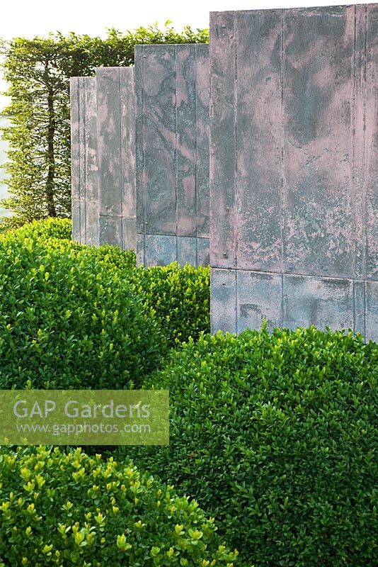 The CoppaFeel! Garden - RHS Hampton Court Flower Show 2011 - Concrete partition walls, Buxus topiary ball and Carpinus hedge 