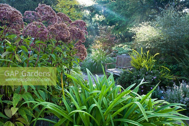 Garden bench sits amonst border of perennials - Karl Foerster Garden Potsdam Bornim, Germany 
