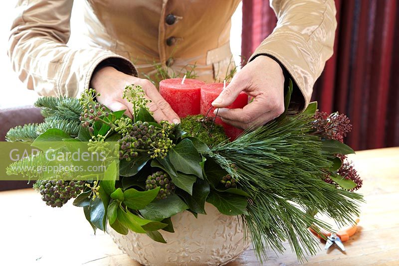 Making of christmas arrangement - Hedera helix arborescens, Pinus strobus and Simmia japonica