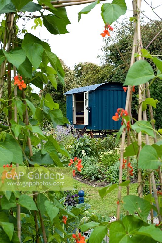 Shephards hut seen through canes of runner beans