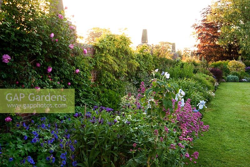 Long border with Irises, hardy Geraniums, Centurea montana, Centranthus ruber and Rosa - Whalton Manor Gardens, Whalton, Northumberland, UK