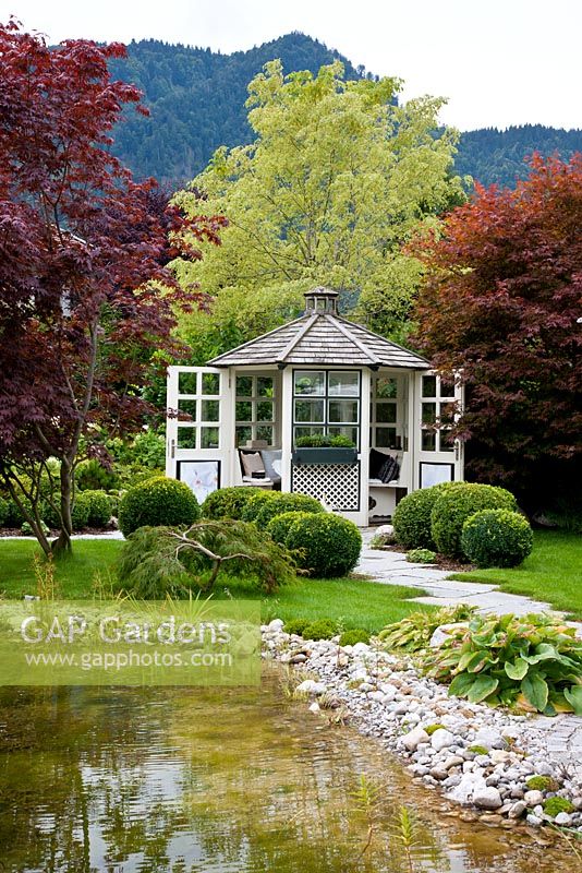 White painted wooden pavilion with a group of box spheres, mature trees and a natural swimming pool. Planting includes Acer negundo 'Variegatum', Acer palmatum, Acer palmatum 'Dissectum', Buxus and Hosta