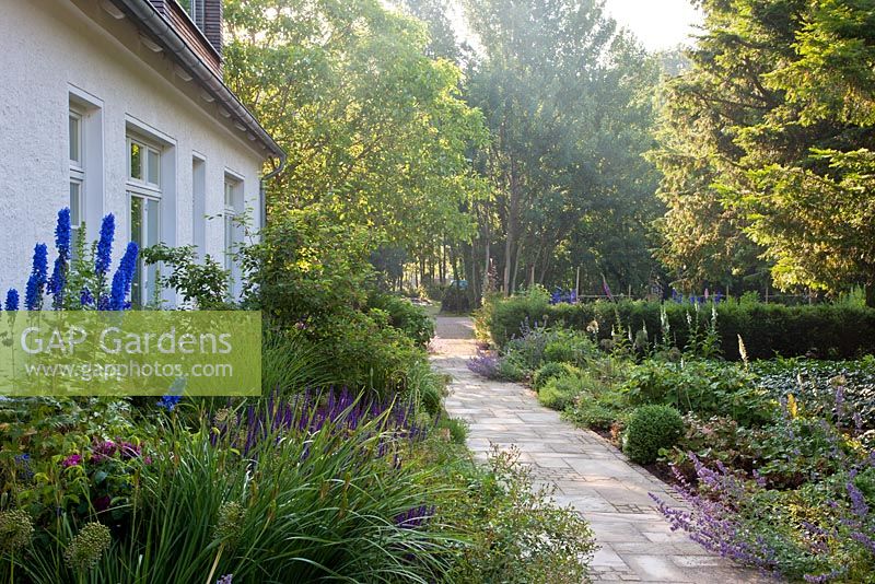 Perennial borders along the house and flagstone paved pathway - Allium aflatunense 'Purple Sensation', Buxus, Delphinium, Digitalis purpurea 'Alba', Nepeta 'Six Hills Giant' Faassenii-Gruppe and Taxus baccata - Jens Tippel