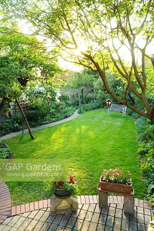 A secluded town garden with lawn, ancient Apple tree with wooden prop, garden seat and intensively planted borders and beds - Meredith Lloyd-Evans, Barnabas Road, Cambridge.
