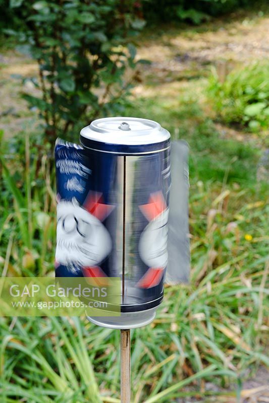 A whirligig bird scarer made from an aluminium drinks can