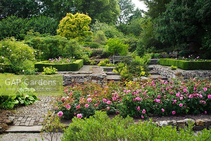 Rose Garden at Benthall Hall, Shropshire