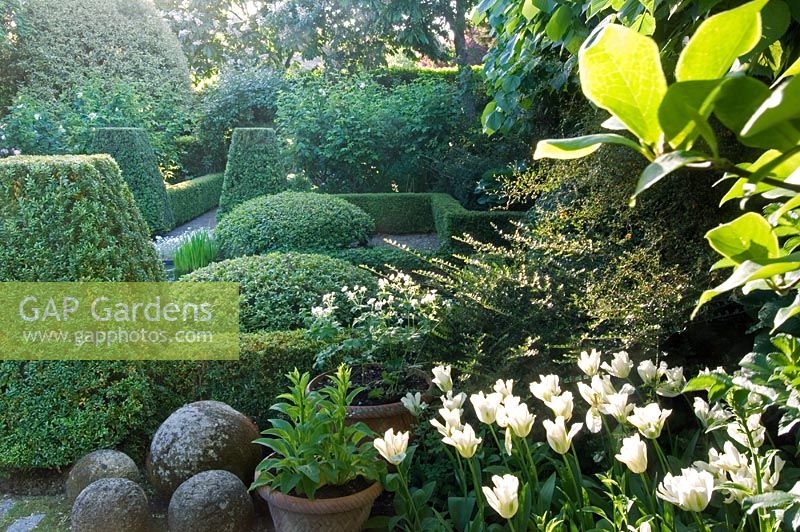 Formal style, Mediterranean garden with clipped yew hedges and Tulips - Madrid, Spain 