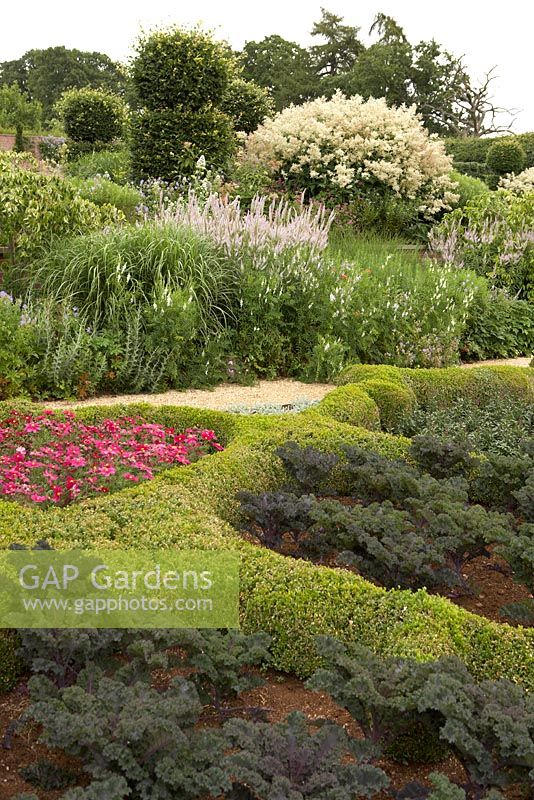 The Broughton Grange Box parterre - the design is based on the structure of leaves viewed under a microscope infilled with blocks of colour through the year with different plants depending on the season.  The infill of Buxus shows Cosmos, Antirrhinum and Kale