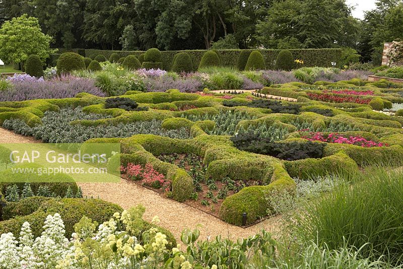 The Broughton Grange Box parterre - the design is based on the structure of leaves viewed under a microscope infilled with blocks of colour through the year with different plants depending on the season. Buxus parterre shows Cosmos, Antirrhinum, red Nicotiana and Kale