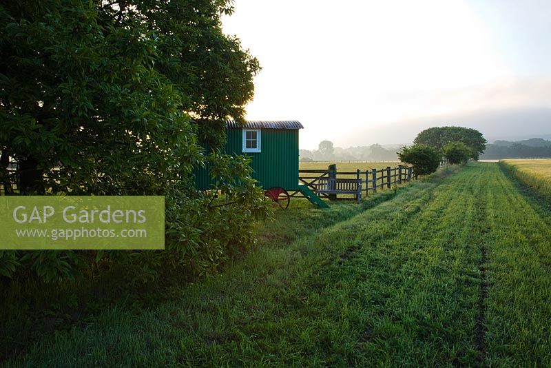 Renovated Shepherd's hut in a meadow at dawn