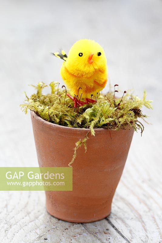 Artificial chick in moss lined terracotta pot 