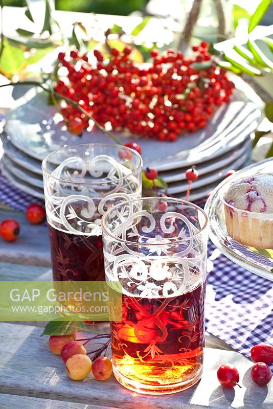 Rowan berry juice in decorative glasses with Sorbus aucuparia  berries