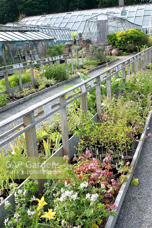 Nursery at Cally Gardens, Gatehouse of Fleet, Scotland