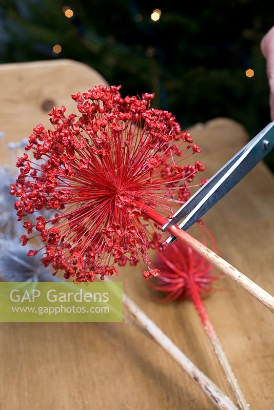 Homemade Christmas tree decorations - Spraying seedheads with red spray paint 