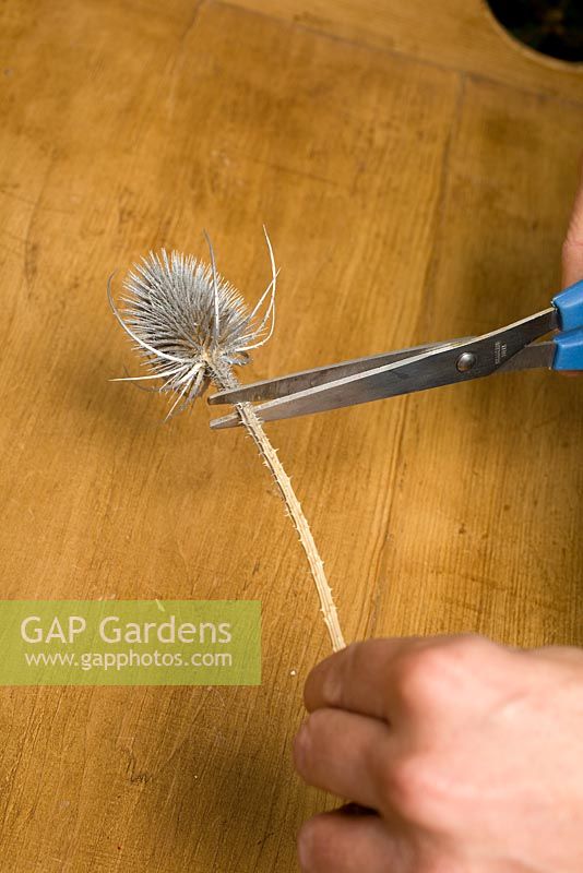 Making homemade Christmas tree decorations with sprayed seedheads