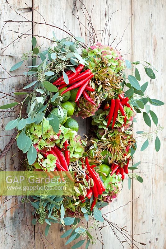 Christmas wreath with Hydrangeas, Eucalyptus, Agapanthus seedheads, chillies, birch and limes
