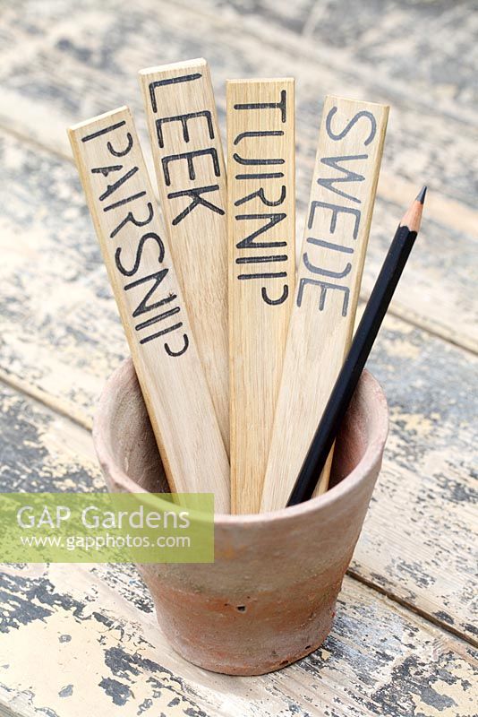 Oak plant labels with stencilled names of vegetables in flowerpot on rustic table 