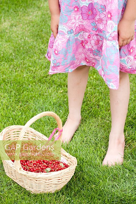 Girl with basket full of freshly harvested red currants on lawn