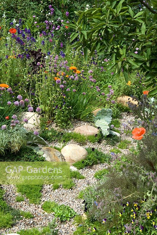 Wildflowers, herbs and annuals growing alongside gravel path - The SKYShades Garden - Powered by Light - RHS Chelsea Flower Show 2011