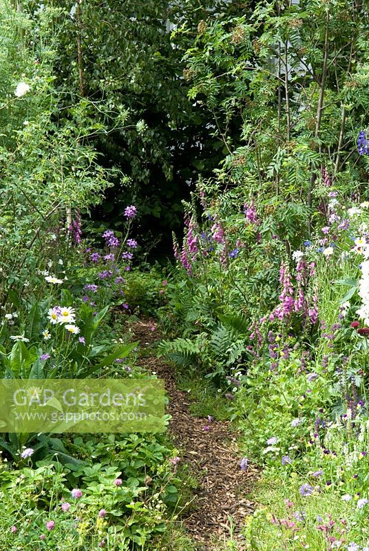 Wildflowers and annuals growing alongside path into woodland - The SKYShades Garden - Powered by Light - RHS Chelsea Flower Show 2011