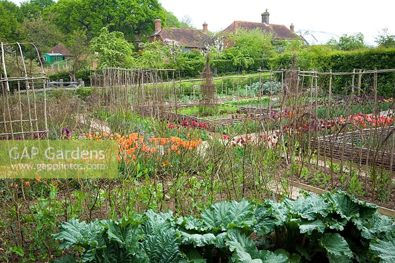 The vegetable garden at Perch Hill in spring. Rhubarb in the foreground