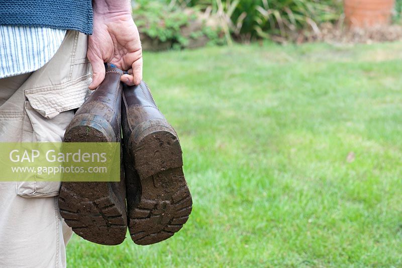 Gardener holding muddy gardening boots