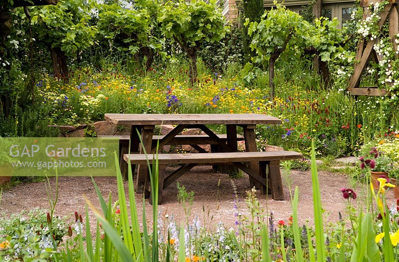 RHS Chelsea Flower Show 2007, The Fetzer Sustainable Winery Garden, Designer Kate Frey