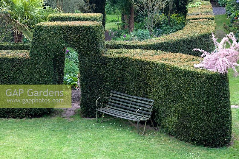 Wooden bench by curved hedges - Stone House Cottage Garden, Kidderminster