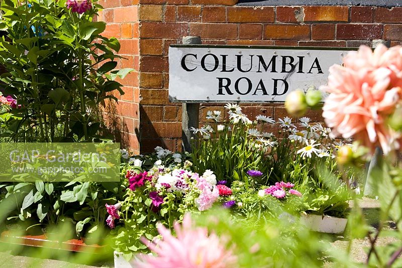Columbia road flower market
