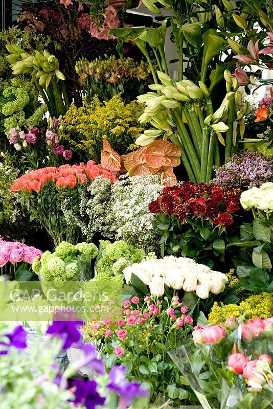 Flowers stall in Via Moscova, Milan in Italy