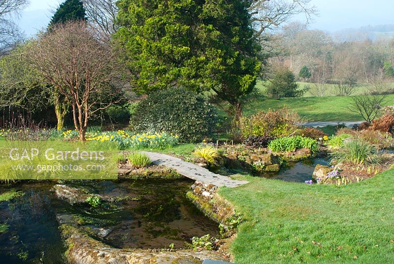 Ponds, stream and spring beds at Holehird Gardens, Windermere, Cumbria