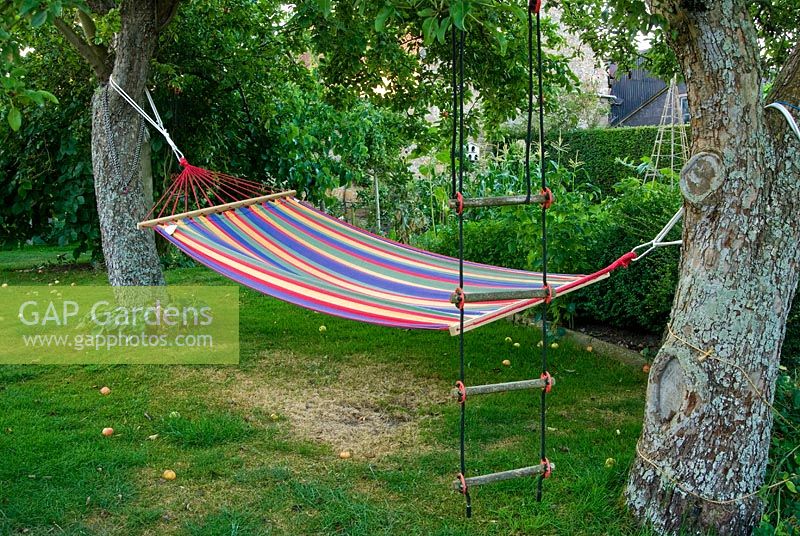 Hammock suspended between two old fruit trees in the garden with vegetable plot beyond - Yews Farm, Martock, Somerset, UK