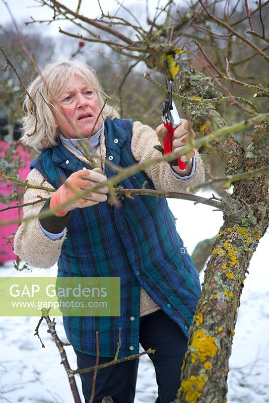 Removing the suckers and water shoots. These grow quickly and can cause problems in the future if left unchecked