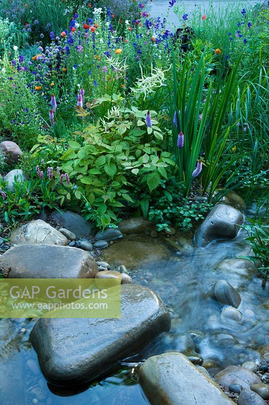 Stream feature with Primula vialli, Astilbe, Papaver, Salvia viridis and Calendula in The SKYShades Garden - Powered by Light RHS Chelsea Flower Show 2011 Silver medal winner 